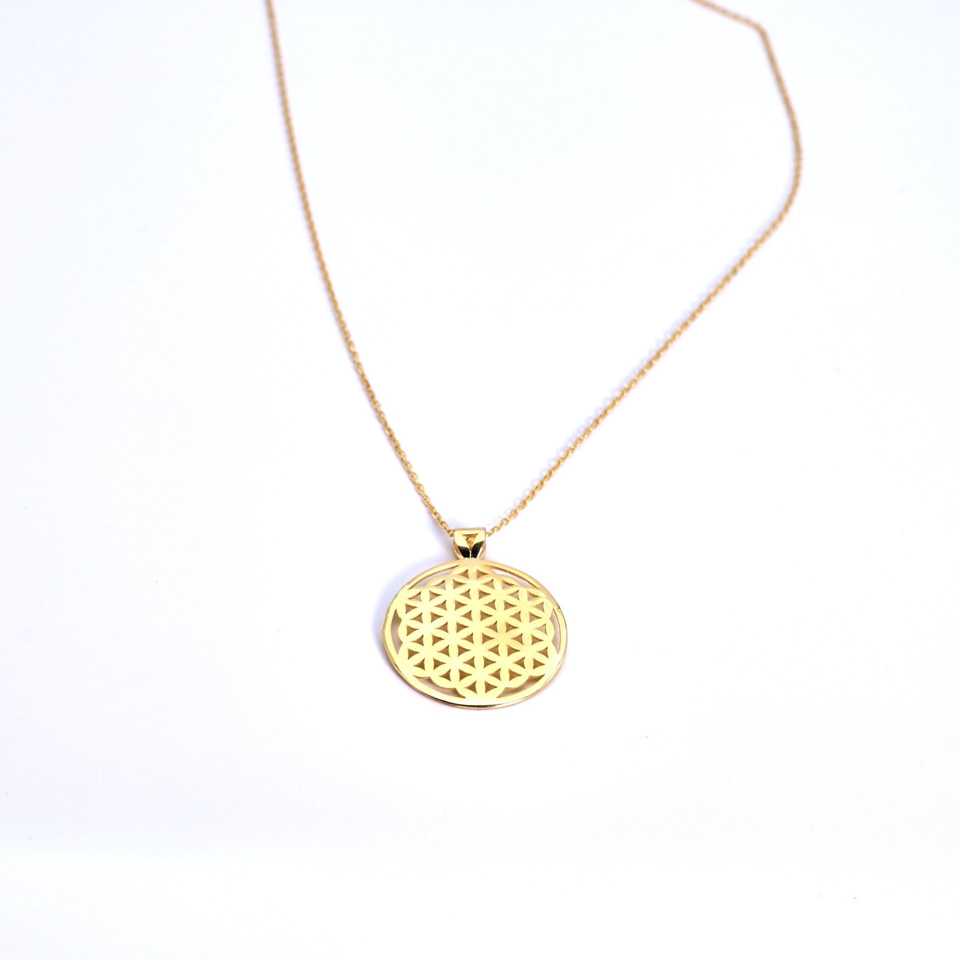 Yaşam Çiçeği  Gümüş Kolye